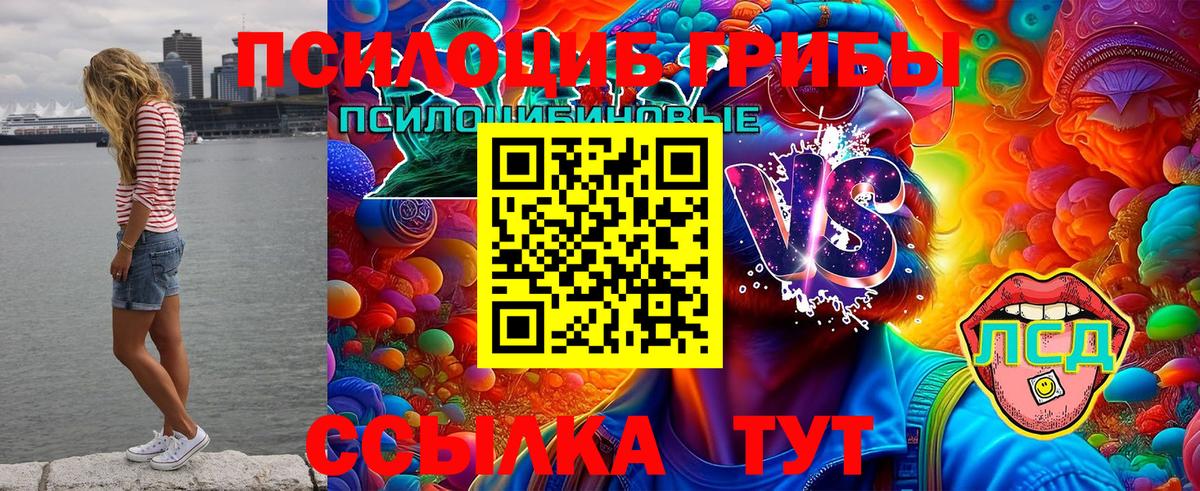 Жигулёвск  Псилоцибиновые грибы Psilocybine cubensis  Вход с VPN 