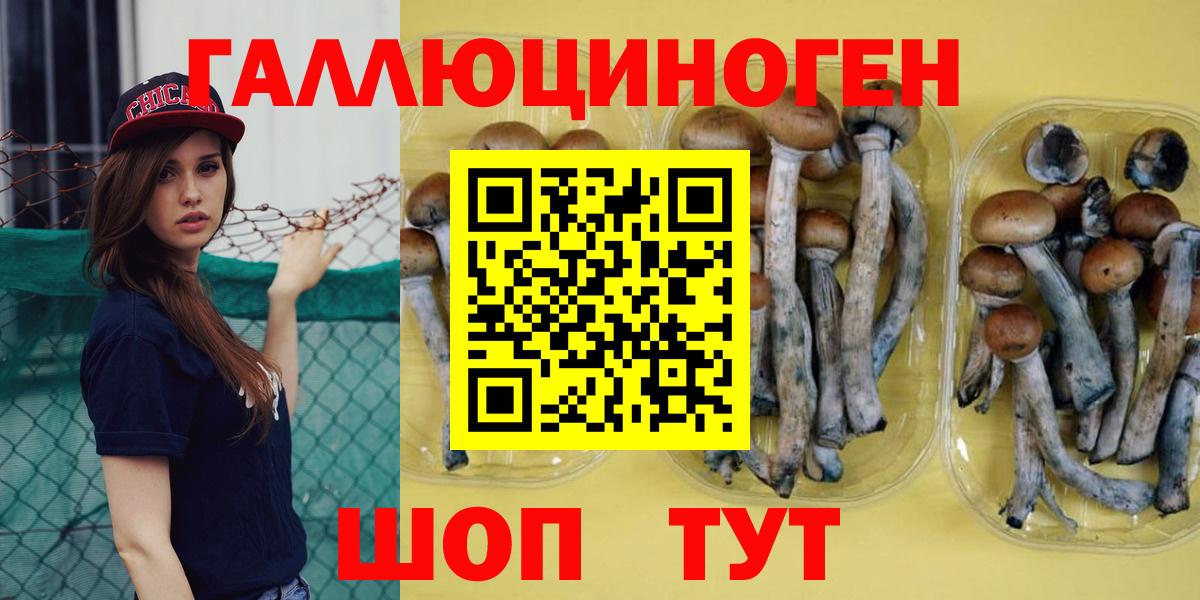 Галлюциногенные грибы мухоморы Жигулёвск